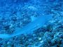 07Moorea - 09